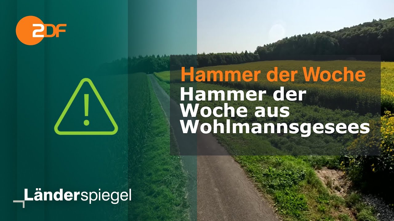 Streit um Entw&auml;sserungskanal - bis zu 30.000&euro; pro Haushalt | Hammer der Woche vom 16.08.2025 | ZDF