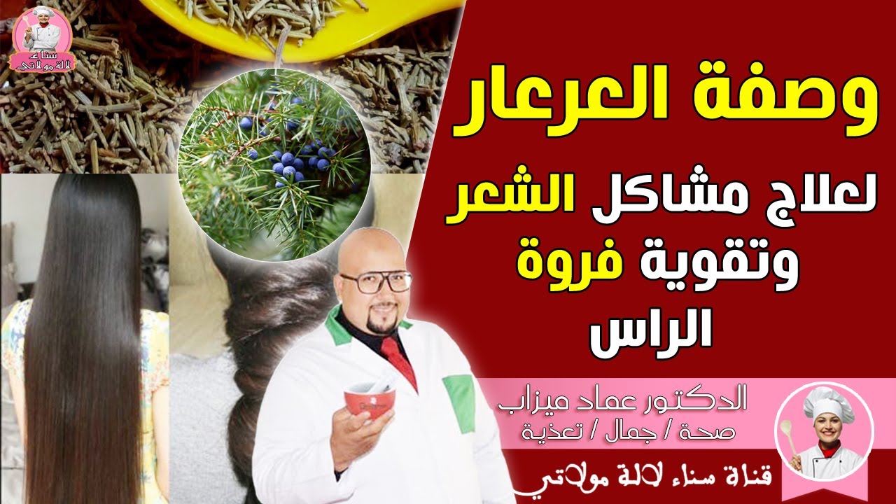 وصفة العرعار  لعلاج مشاكل الشعر وتقوية فروة الرأس من عند الدكتور عماد ميزاب