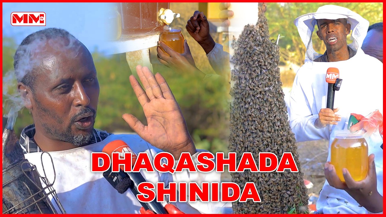 Dhaqashada Shinnida iyo sida uu Xasan uga Sameeyay Nolol iyo Dhaqaale