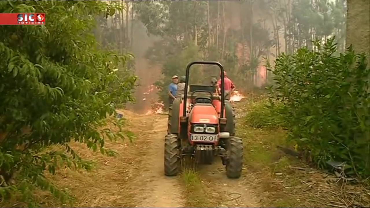 Incêndio com quatro frentes ativas em Águeda