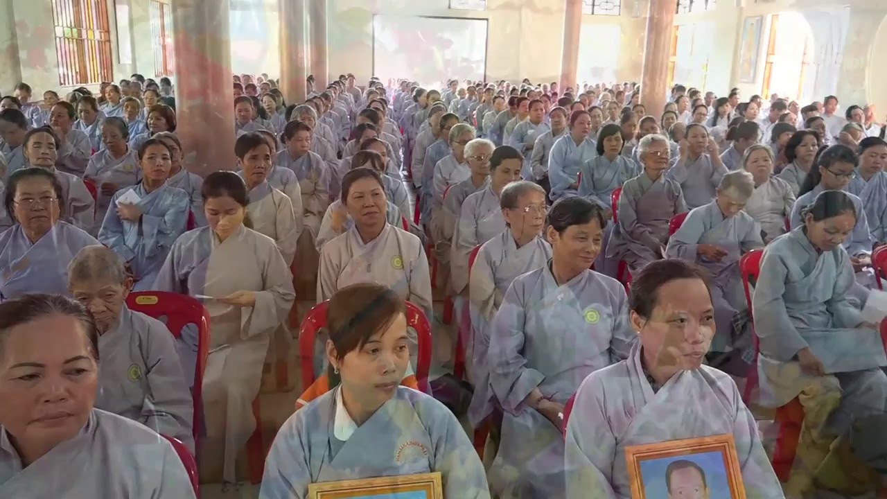 Pháp Kệ 323: Học Tu Quán Chiếu Thân Tâm