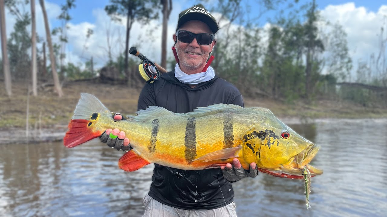 Tucunaré Açu Recorde de Fly Fishing no Legend | Amazon Legend - Parte 3