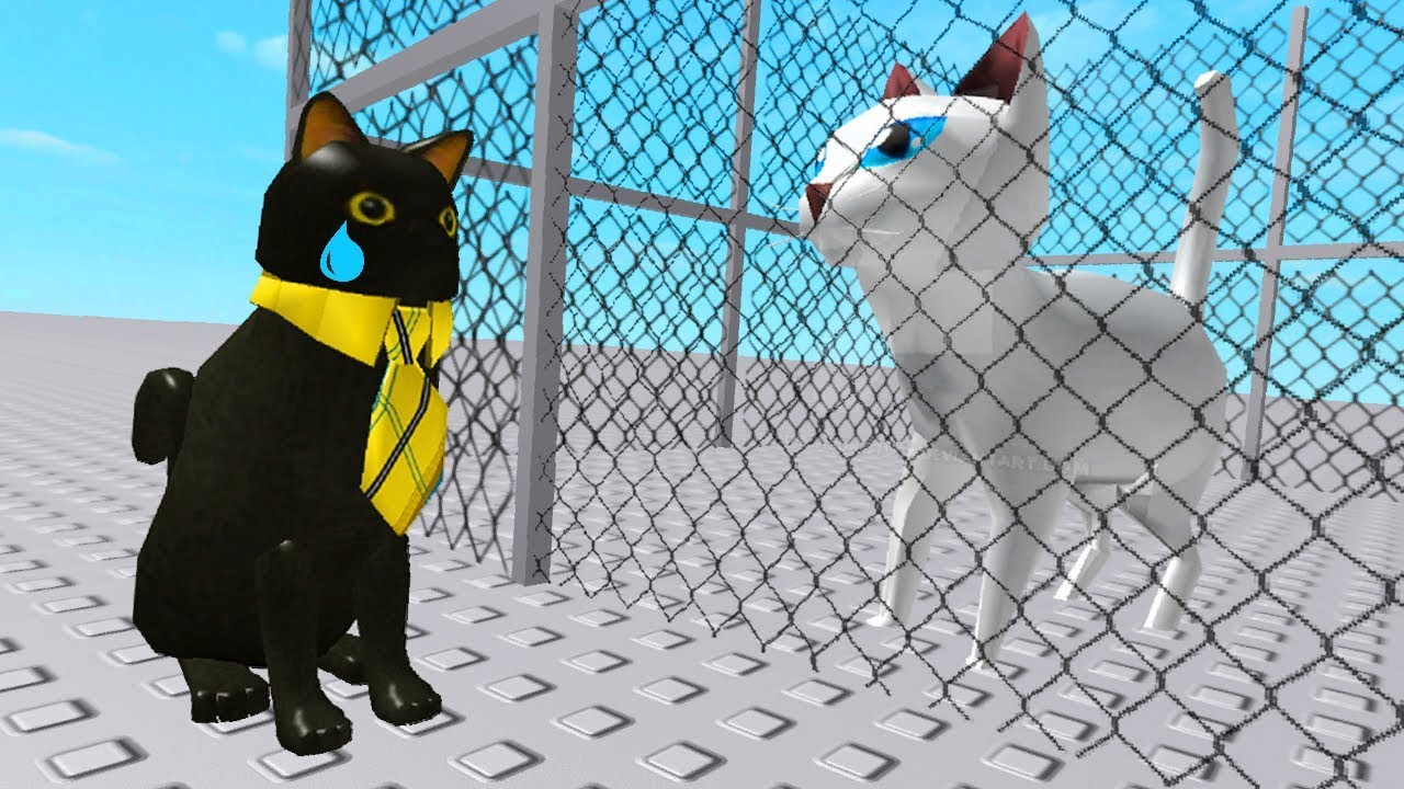 MRS. MEOWS A LOT IS MISSING! (Roblox Movie)