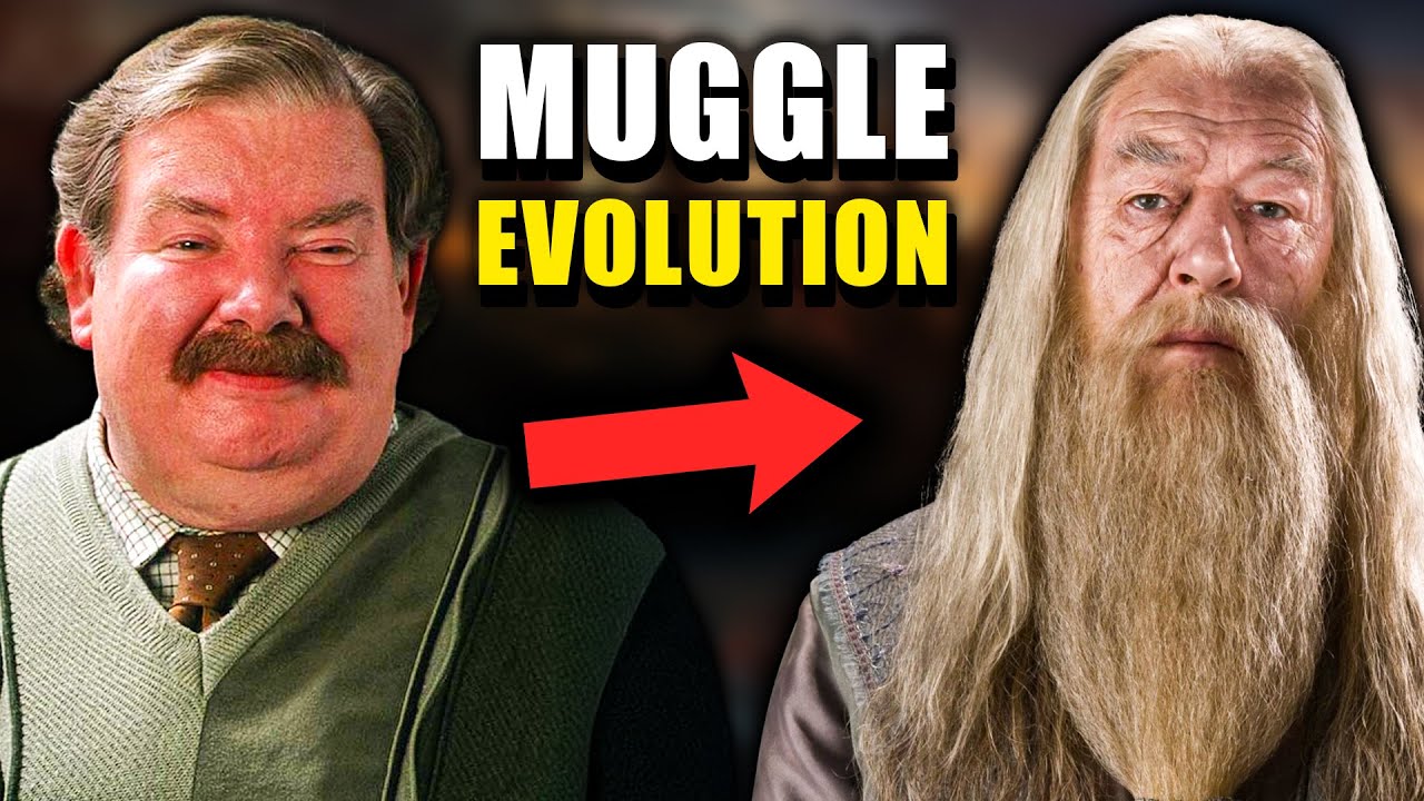 What Would Have Happened If Wizards Never Went into Hiding? - Harry Potter Theory
