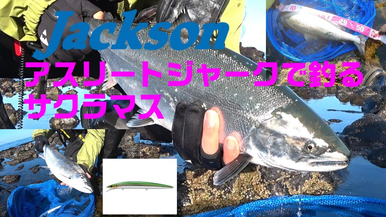 【中級者講座】ジャクソン　アスリートのジャーキングメソッドで釣るサクラマス
