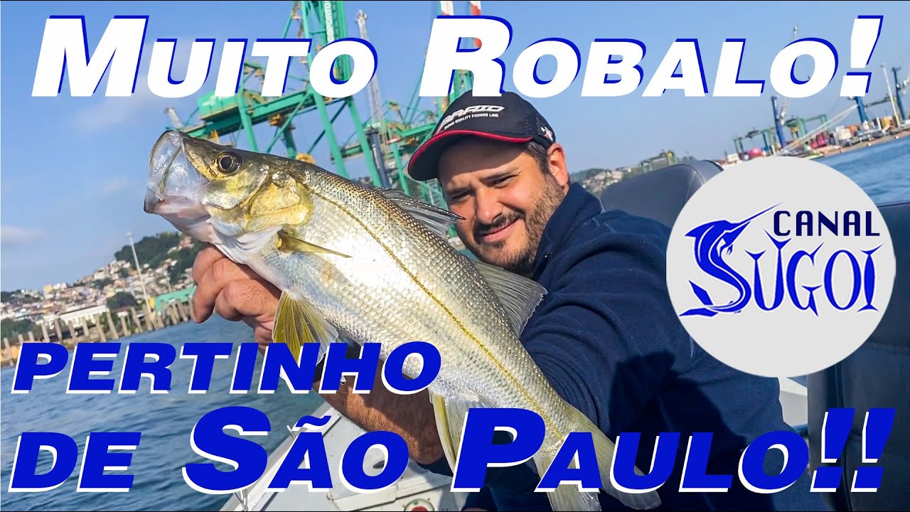 Muito Robalo pertinho de São Paulo!!