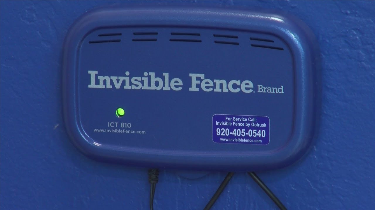 Testing Your Invisible Fence for Spring