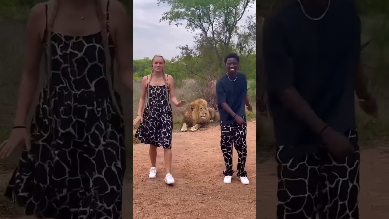 We danced infront of a lion #ukraine #africa #safari #kenya#