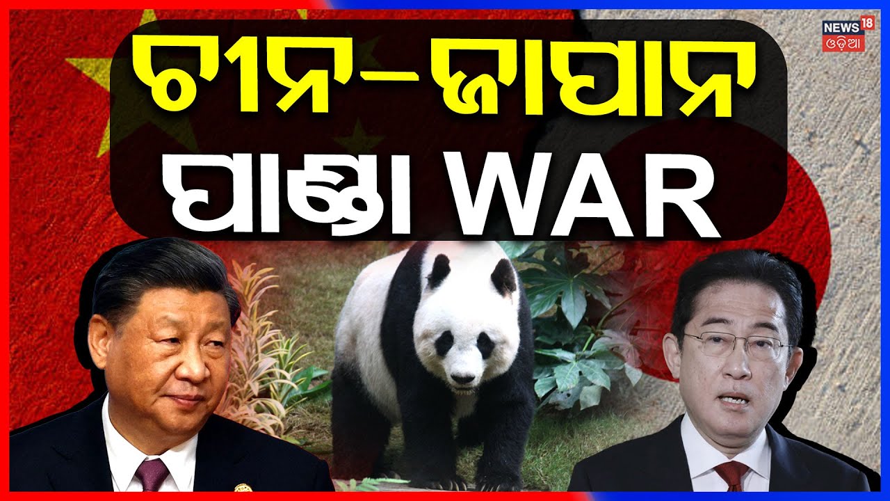 ଚୀନ ଜାପାନ ଭିତରେ ପାଣ୍ଡା ଝଡ଼ | Japan Says Goodbye to Pandas | China Recalls Xiao Xiao & Lei Lei | N18G