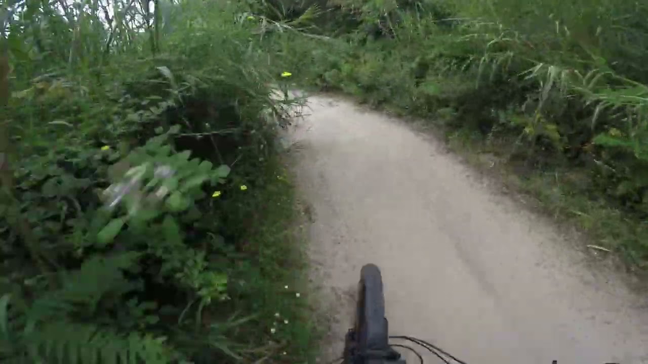 EBIKE ISOLA D'ELBA - Poggio - Sant'Ilario - San Piero - Marina di Campo