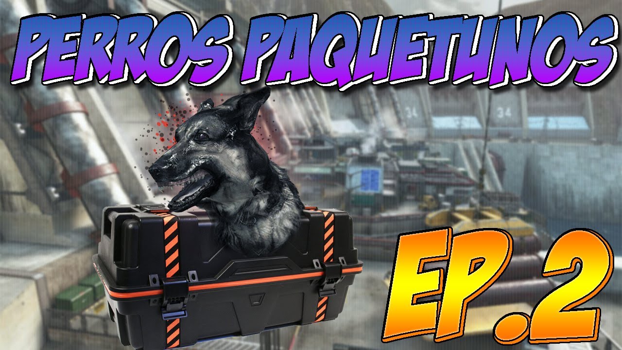 PERROS PAQUETUNOS  | ep.2 | LIVE BLACK OPS 2