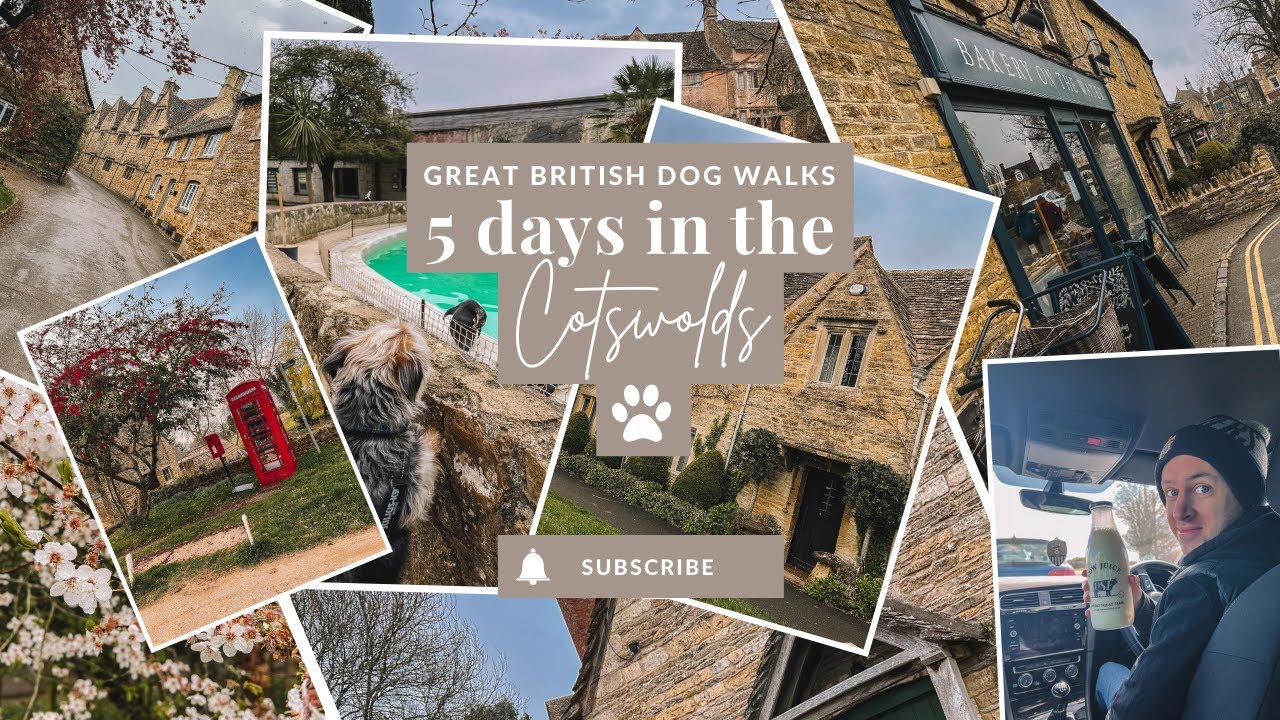 Five dog friendly days in the Cotswolds