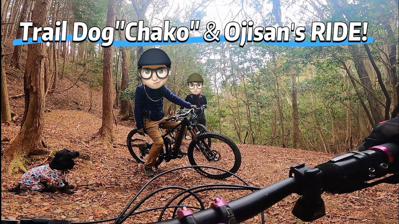 【MTB】チャコ隊長＆オジサンズの山道下り