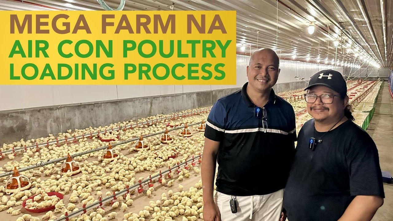 Mega Air Con na Poultry! FIRST TIME Makikita ang Actual Loading Process Up Close!
