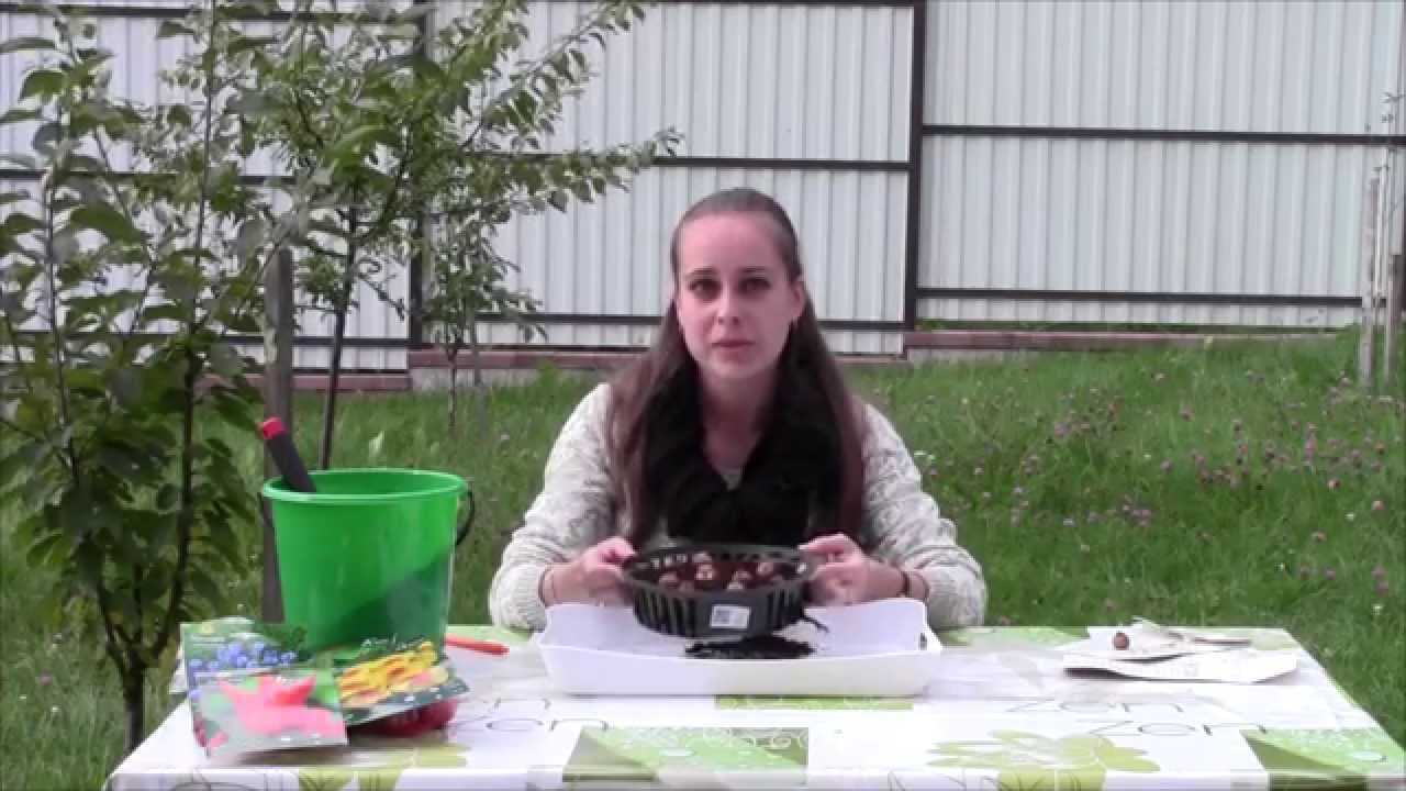 Использование корзинок для посадки луковичных