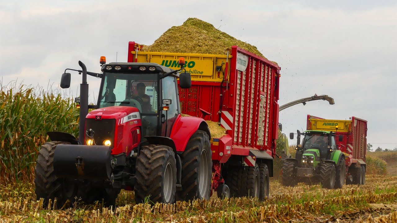 Mega kiszonka! ☆ 4x Massey Ferguson, 2x Deutz-Fahr, 2x JCB ☆ Lubelskie ㋡