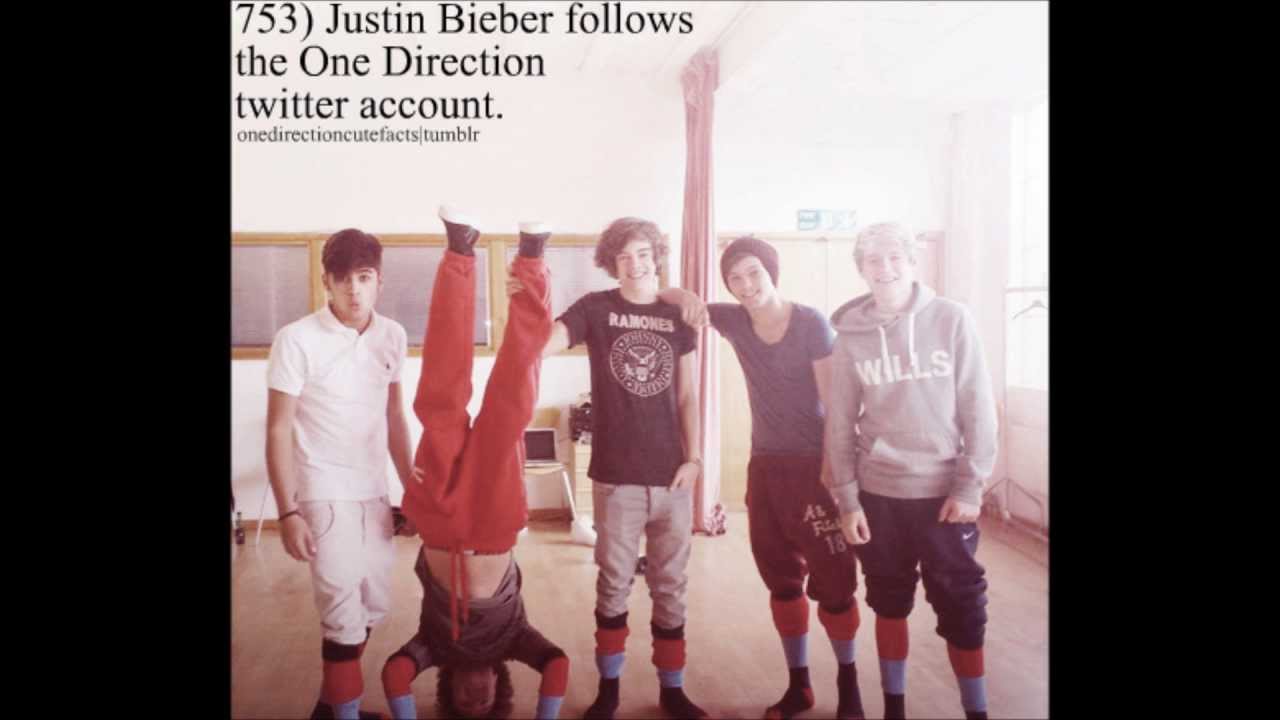 Interesting Facts About One Direction