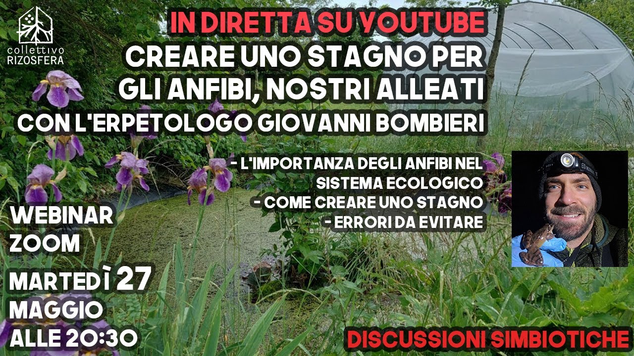 Creare uno STAGNO per gli ANFIBI, nostri alleati con l&rsquo;ERPETOLOGO Giovanni Bombieri