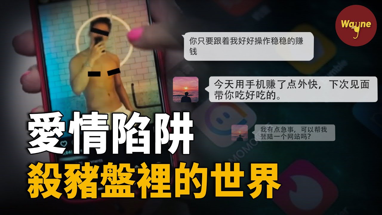 殺豬盤里的愛情陷阱，揭秘「狗推」和他們的世界 | Wayne調查