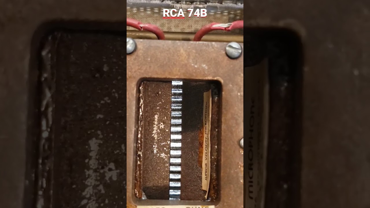 Vintage Microphone Inspection- RCA ribbon mic #shorts #podcast #microphone #producer