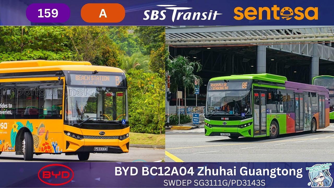 Two BC12s, One Video - SG3111G x PD3134S