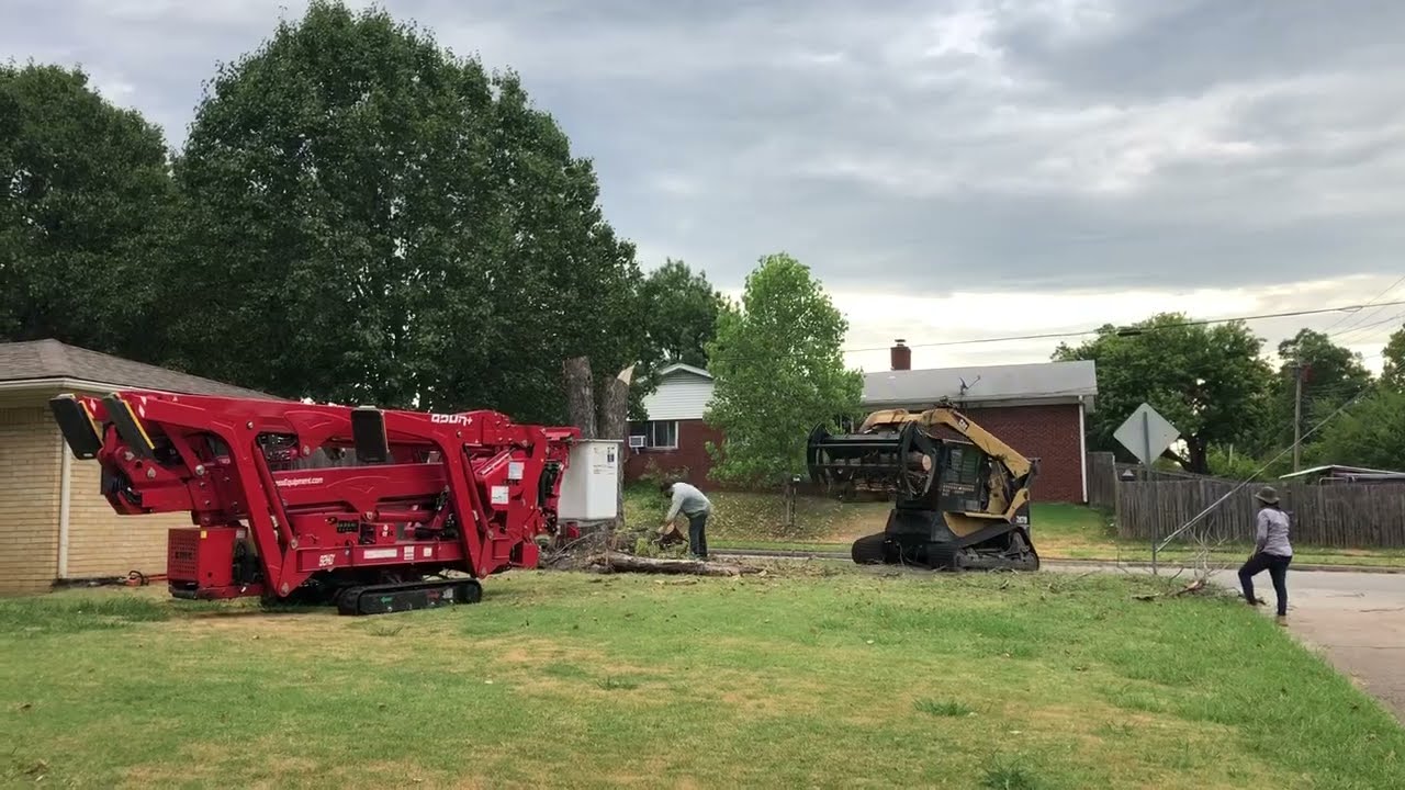 The Best Equipment for Tree Service: CMC-92 HD
