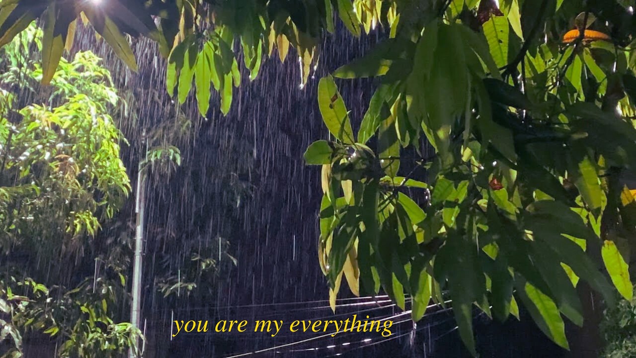🌧️ A Rainy Night Under the Trees | Cozy Vlog Ambience