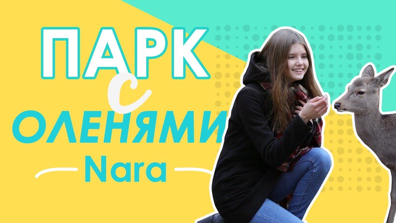Парк с оленями в Японии, Нара