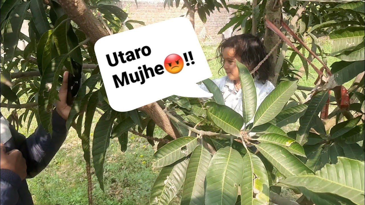 Bugu Kha Chadh Gya 🥰 | BharatZ 