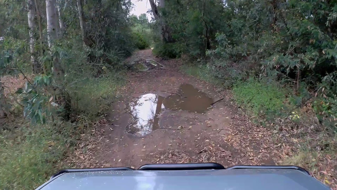 Land Rover Discovery 300 TDI en entorno de Doñana. Música: Nina Simone - Ain't Got No
