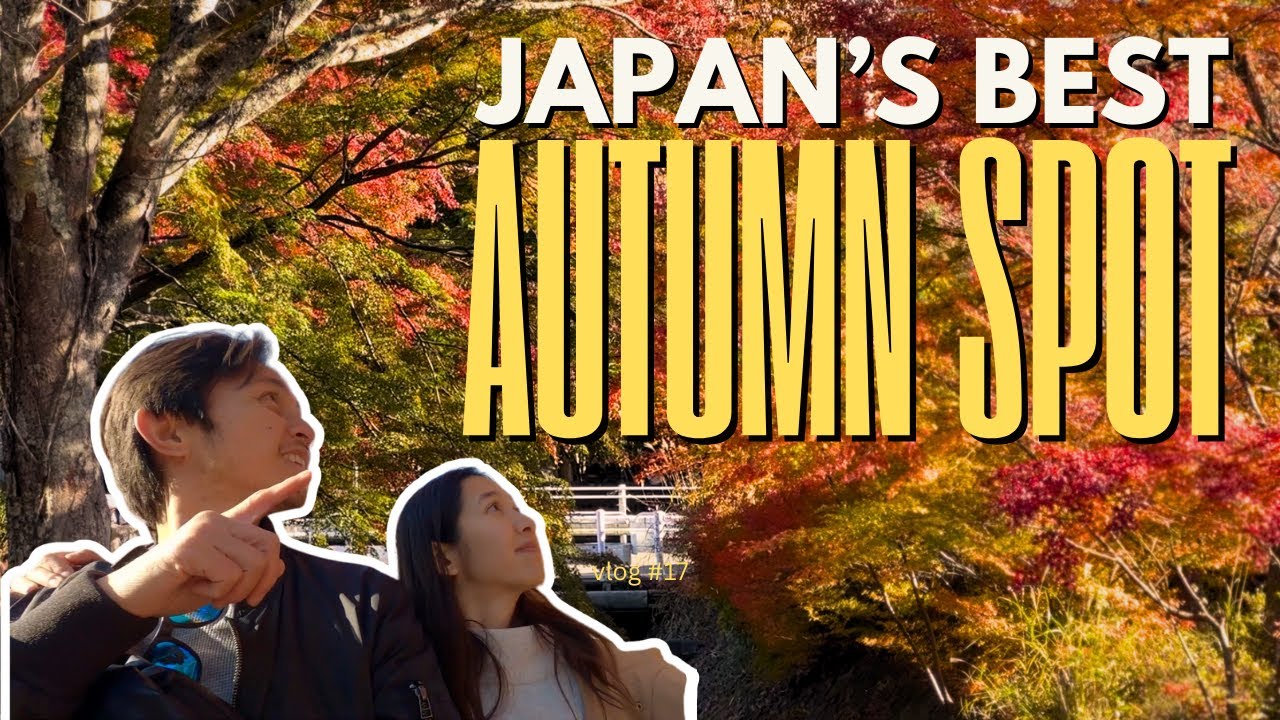 Lake Kawaguchi’s Maple Corridor - Japan’s Most Beautiful Fall Spot!