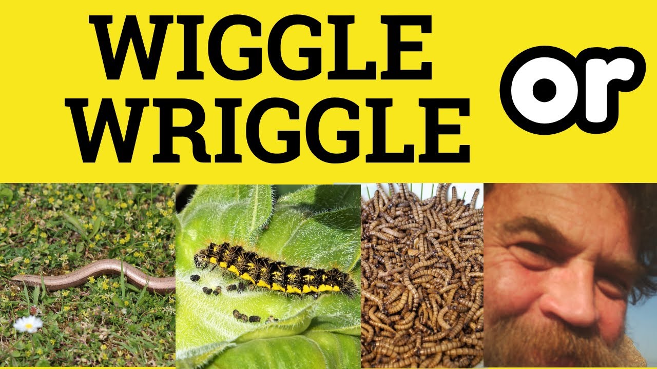 🔵 Wriggle or Wiggle - Wriggle vs Wiggle - Difference Meaning Examples - ESL British Pronunciation