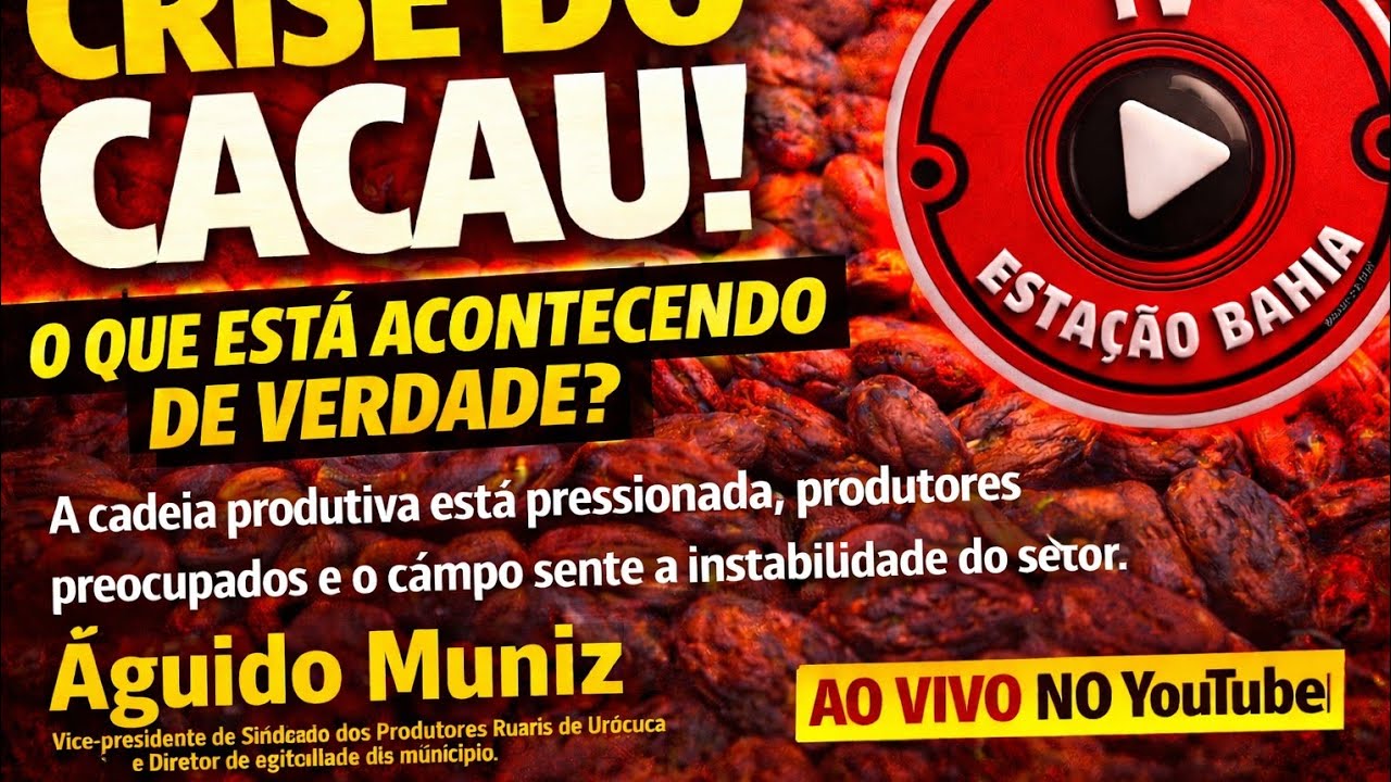 Crise do cacau: o que está acontecendo de verdade? Entrevista com Águido Muniz