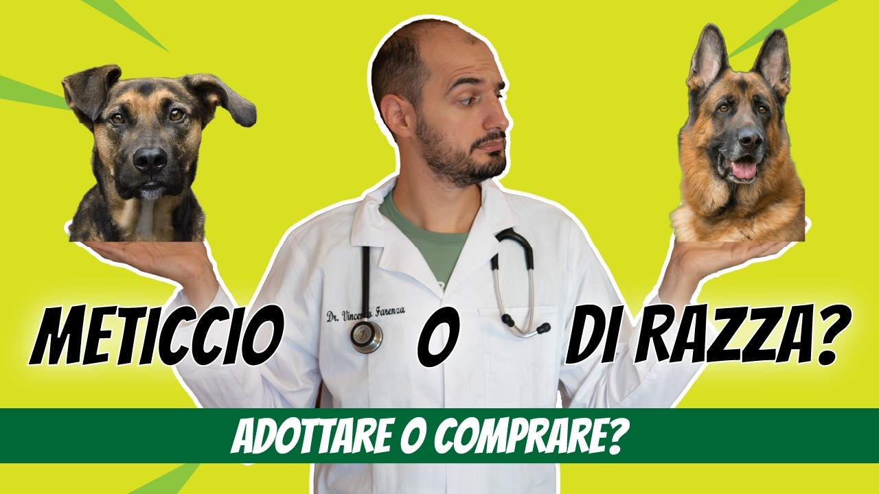 Meticcio o di razza: quello che nessuno ti spiega per scegliere senza farti ingannare