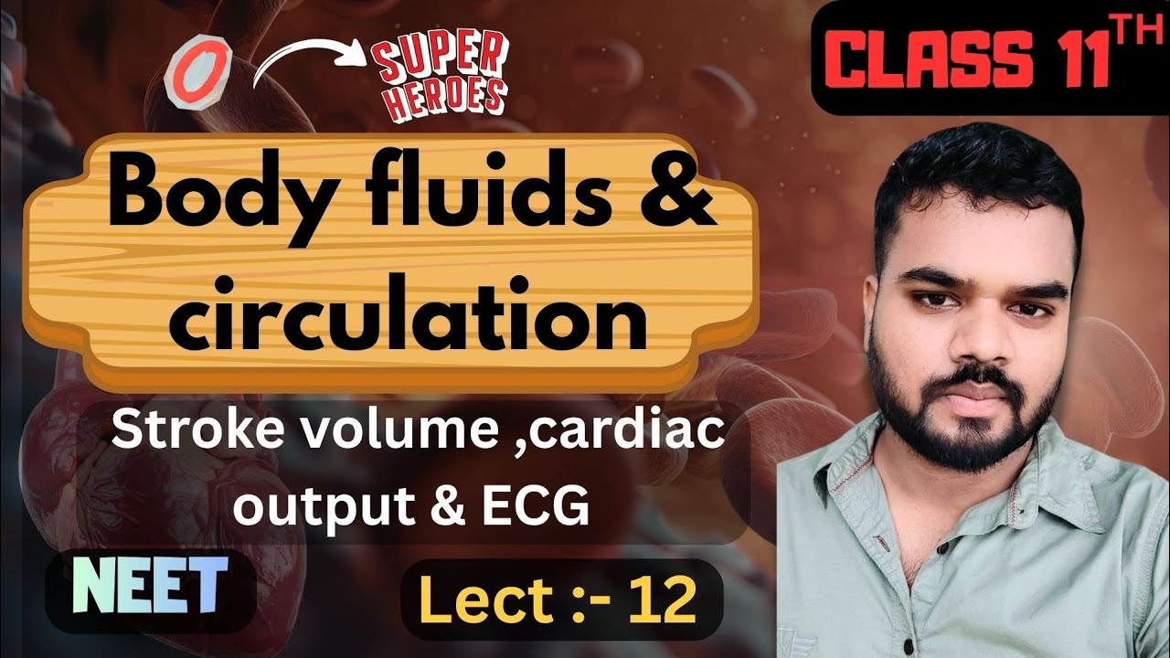 Body fluid and circulation {lecture 12}...class 11//NEET.. NCERT Biology #neet2026 #neet2027 #pw 