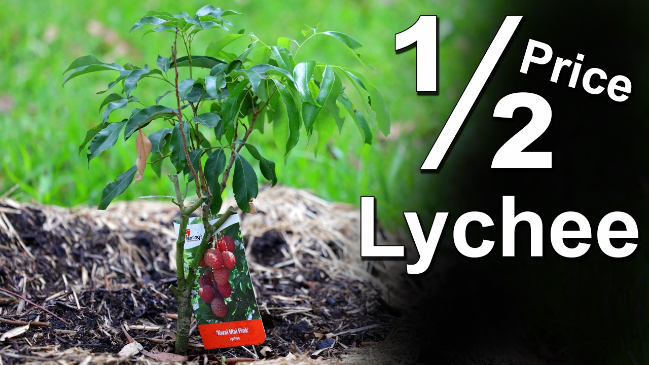 Когда недорогие растения показывают лучшие результаты, чем дорогие.