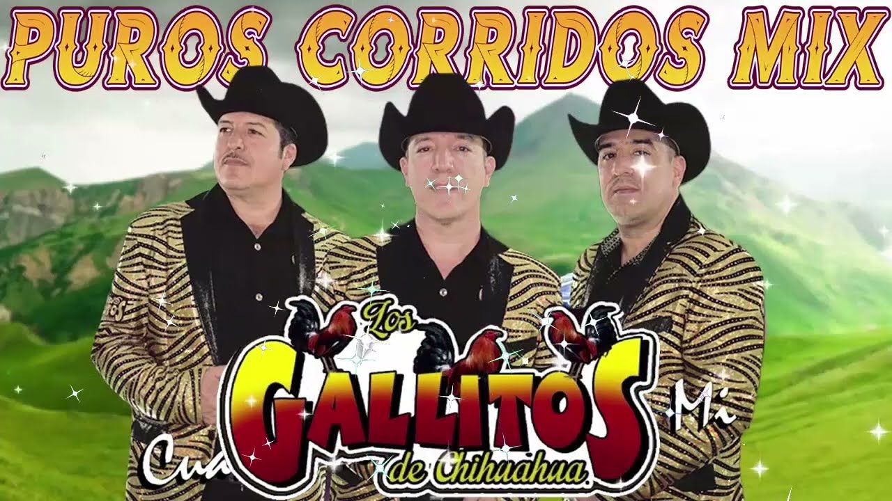 Los Gallitos De Chihuahua || Las Mejores Canciones || Corridos y Rancheras || Mix Para Pistear