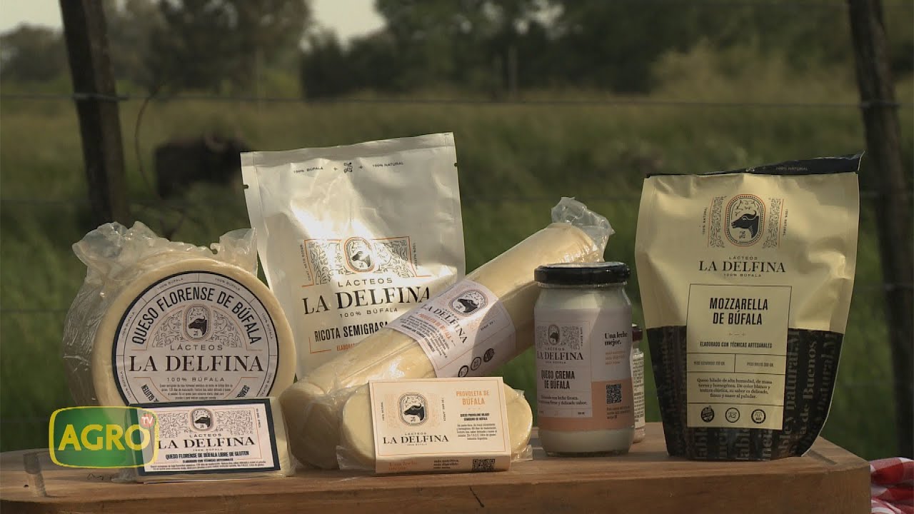 La Delfina: Lácteos de Búfala gourmets (
