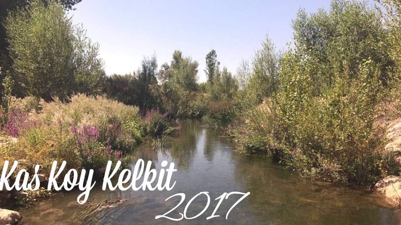 Kaş Köy Kelkit 2017