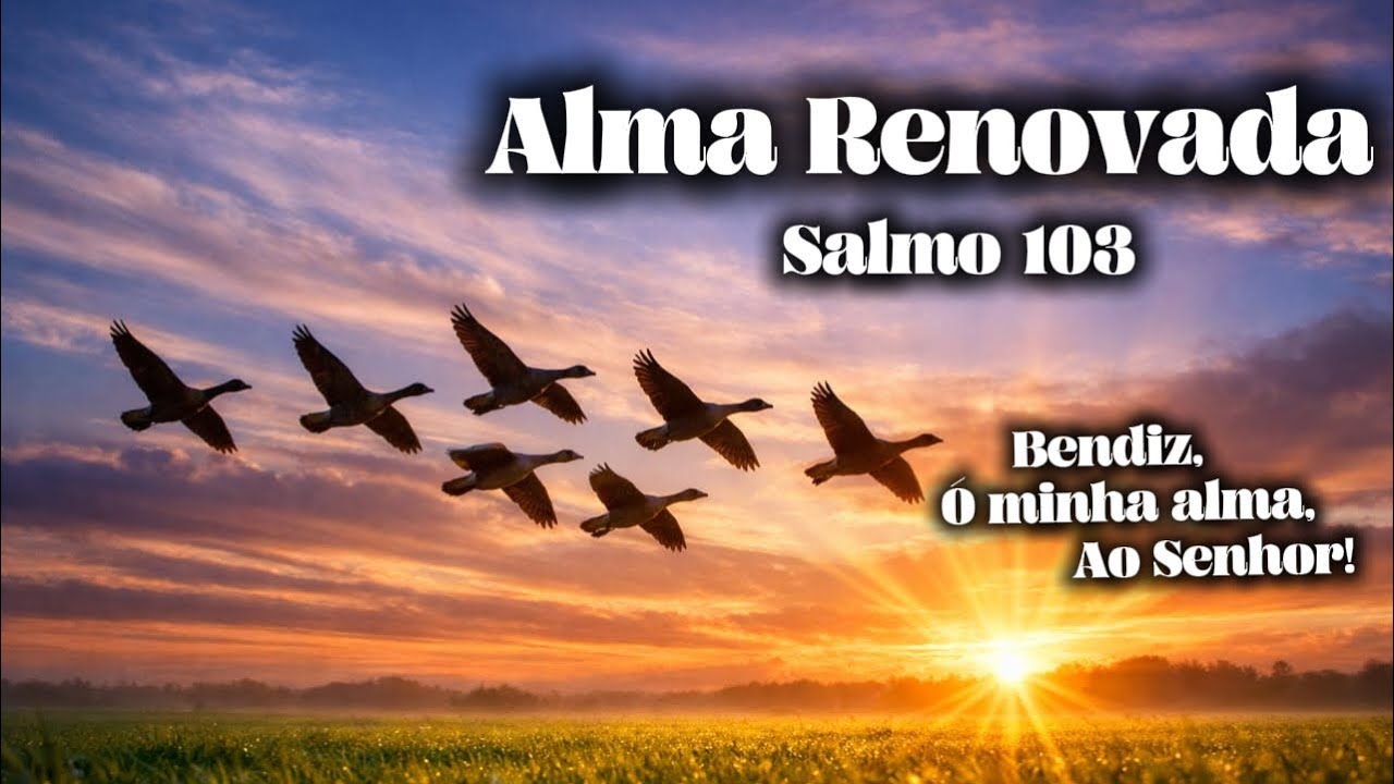 ALMA RENOVADA | Este louvor renova a esperança e fortalece a fé. Adore e sua alma encontrará a paz!