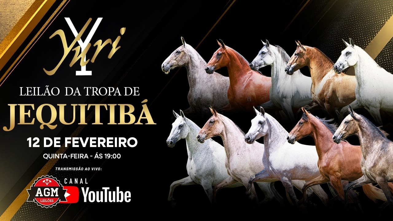 LEILÃO DA TROPA DE JEQUITIBÁ  -  HARAS YURI