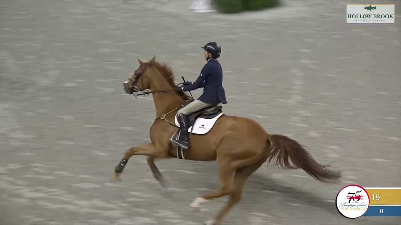 $10,000 Open Jumper 1 40M Laura Chapot