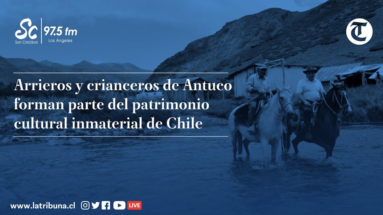 Arrieros y crianceros de Antuco forman parte del patrimonio cultural inmaterial de Chile