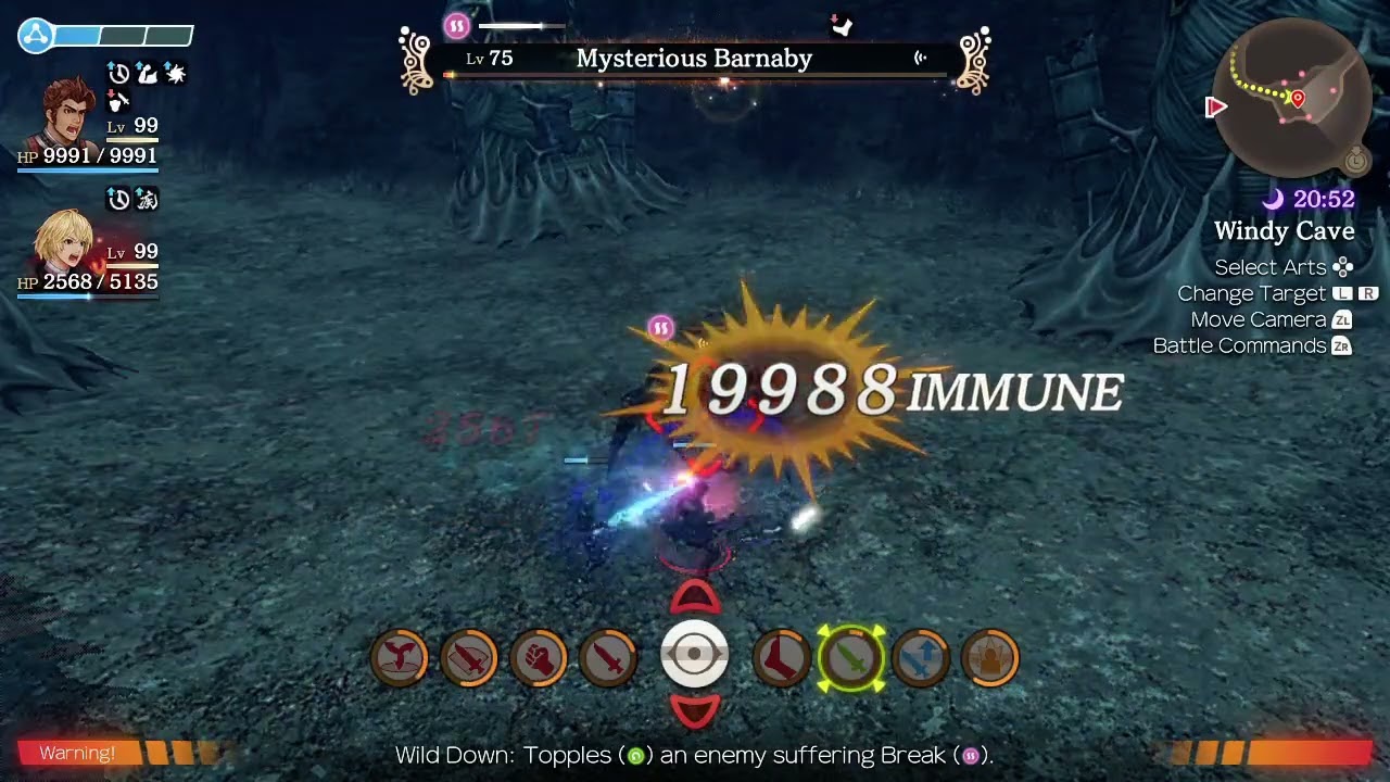 999 Affinity Coins in Xenoblade Chronicles: Definitive Edition