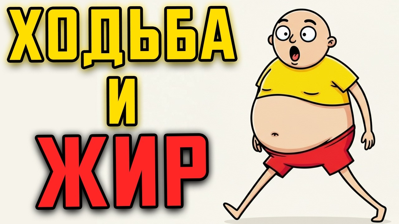 Всего 10 минут в день! Как ходьба меняет работу жировой ткани