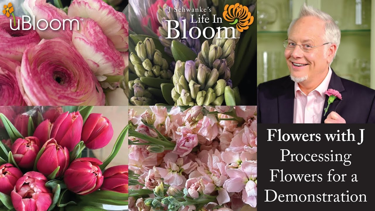 Processing Flowers- 2nd Edition- LIVE with J