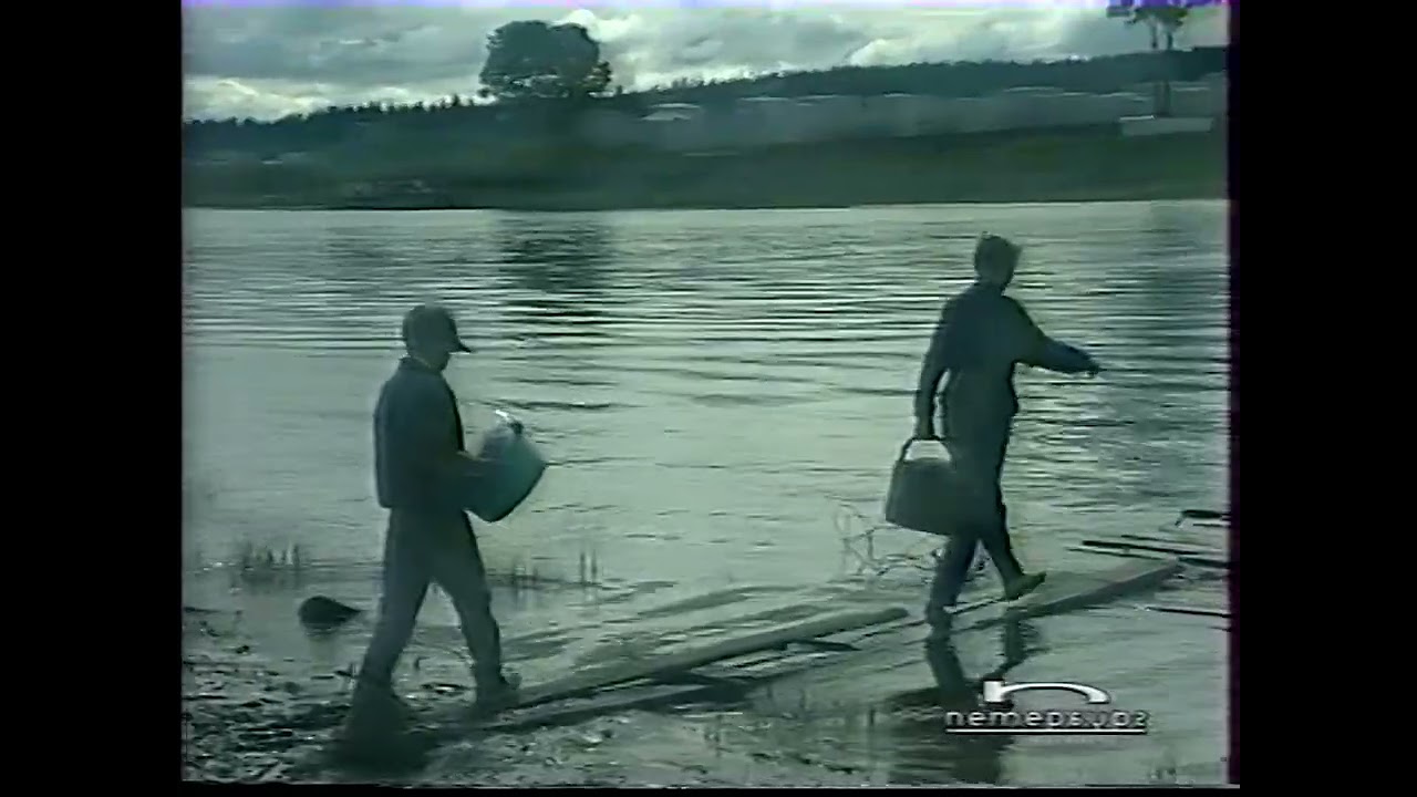 Николаю Рубцову посвящается: Долина детства (5 канал, 1998)