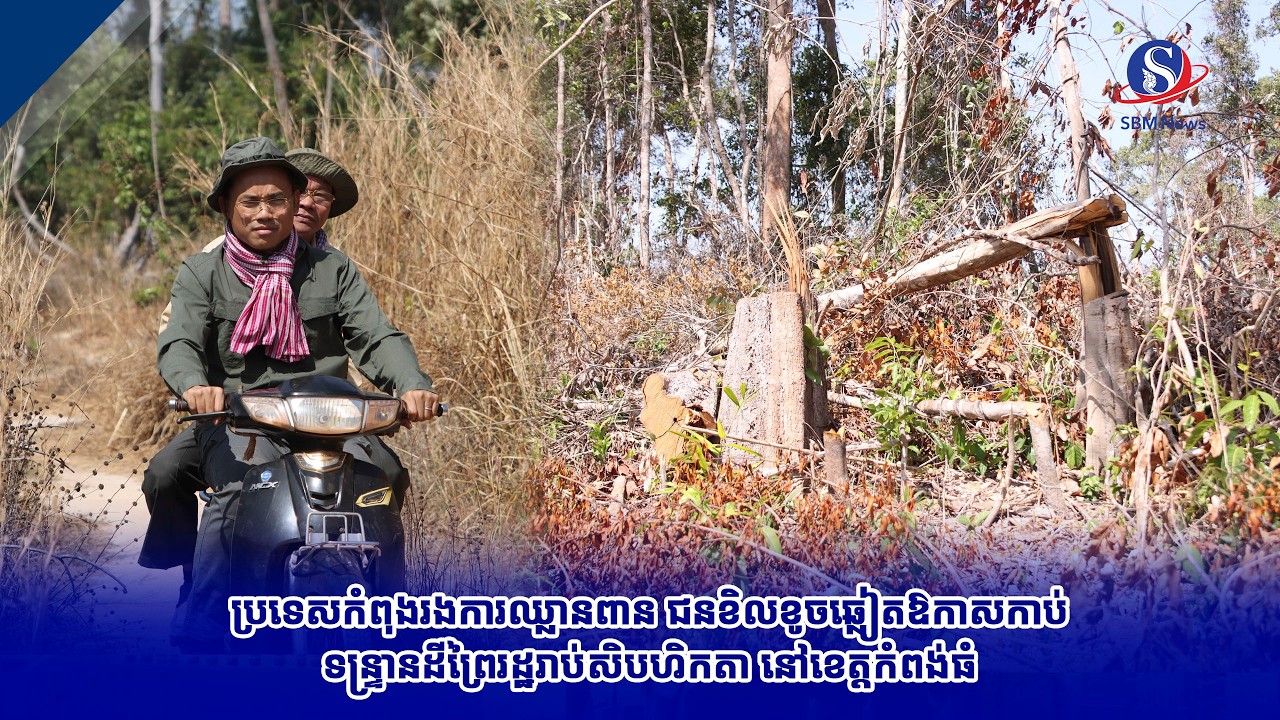 ប្រទេសកំពុងរងការឈ្លានពាន ជនខិលខូចឆ្លៀតឱកាសកាប់ទន្ទ្រានដីព្រៃរដ្ឋរាប់សិបហិកតា នៅខេត្តកំពង់ធំ
