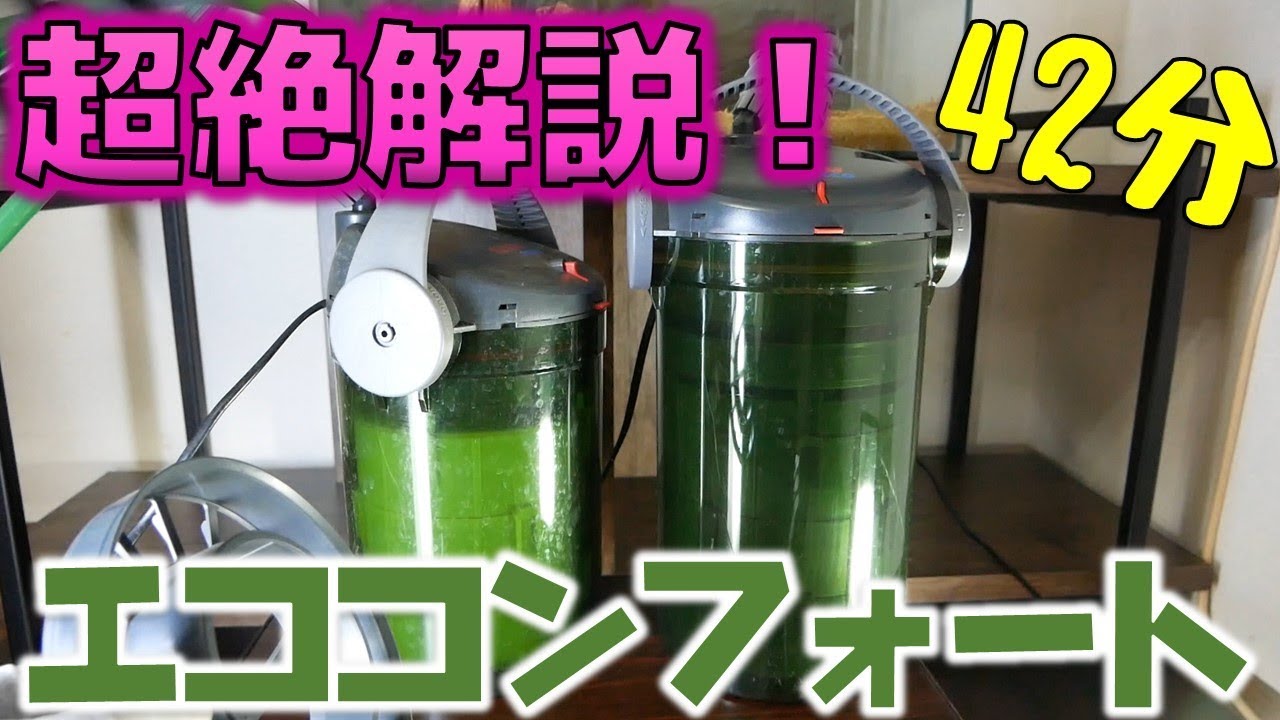 【外部式フィルター】初心者必見！エーハイムエココンフォートを、しつこい解説と共に、設置します【ふぶきテトラ】