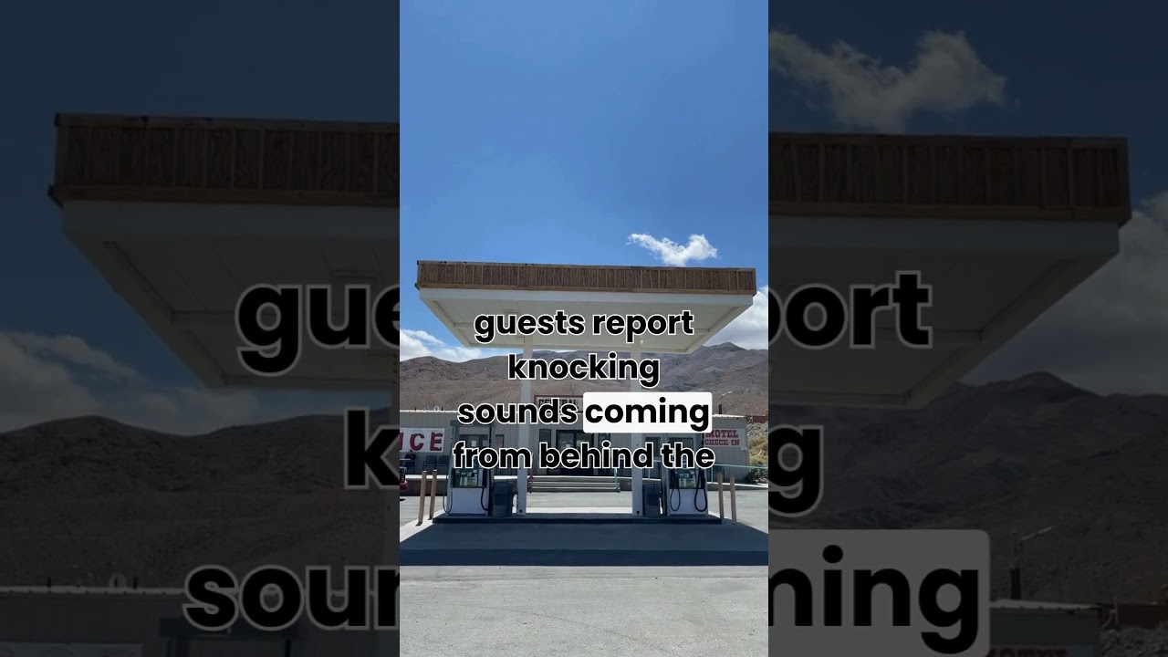 Why Did the Guest Vanish From Room 313?